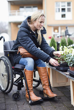 Disabled woman in wheelchair choosing plants at garden center