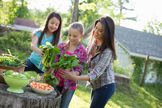 Organic Farm. Summer Party. Two Young Girls And A Young Adult Preparing Salad Leaves For A Buffet.