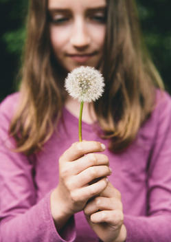 A ten year old girl holding a dandelion clock seedhead on a long stem.