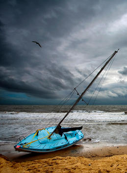 A Bird Flies Past A Boat That Is Washed Ashore During A Winter Storm