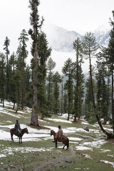 two Kashmiri men on horseback on a pine-covered hillside with patches of snow