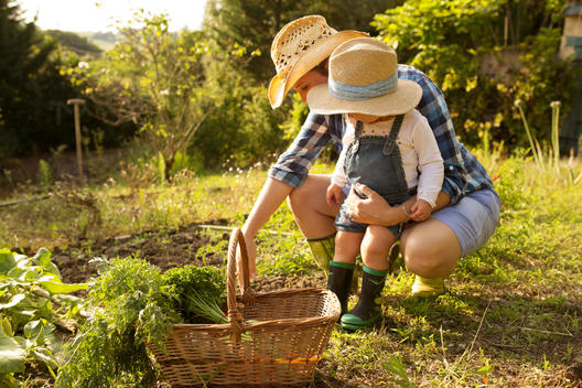 Mom and daughter picking vegetables