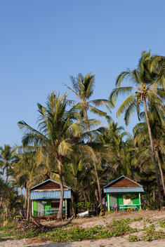 wooden tourist bungalows or cottages beneath palm trees at the beach