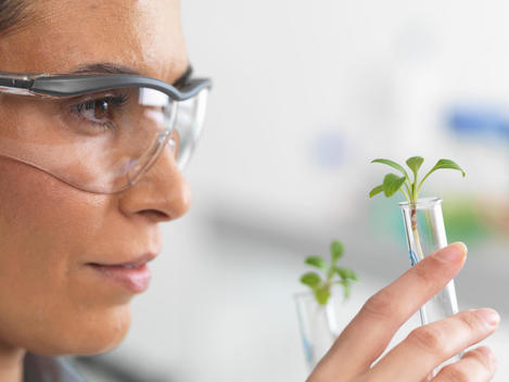 Scientist viewing seedling in test tubes under trial in lab