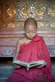 Asian monk-in-training reading book in temple