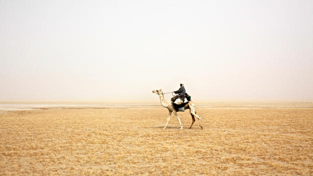 A traditional camel herder in Chad