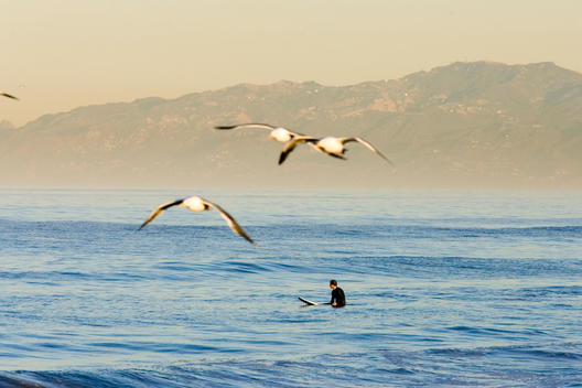 A lone surfer patiently awaits the right wave off of Redondo Beach, California.