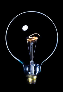 Still-Life Of Light Bulb