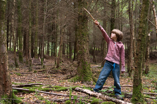 A boy looking to the sky in the woods pointing with a stick.