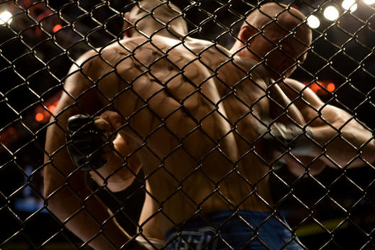 Men fighting in a caged octagon