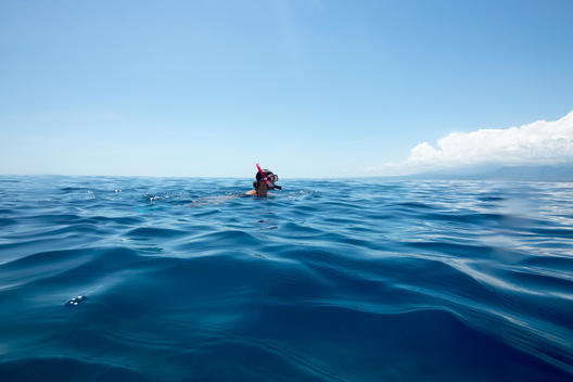 Head of female snorkeler on the surface of the open blue tropical ocean