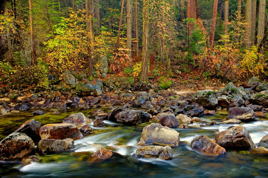 Fall foliage lines the Merced River in Yosemite National Park, California, USA; Fall 2008