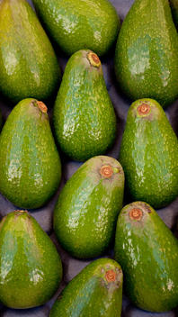 Green Avocados