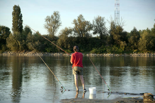 Man Fishing In River P˜. Boretto, Italy.