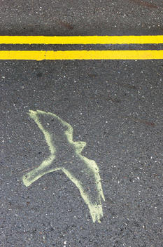 Bird Painted On The Road.