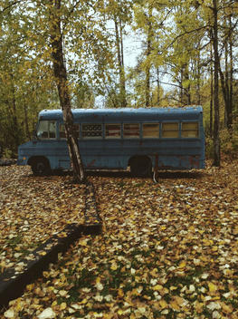 Old school bus in the woods