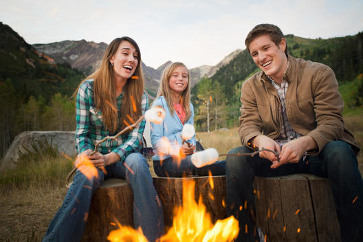 Caucasian family roasting marshmallows on campfire