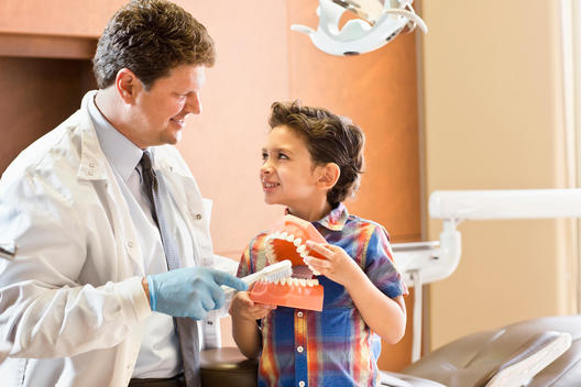 Dentist showing patient model of teeth