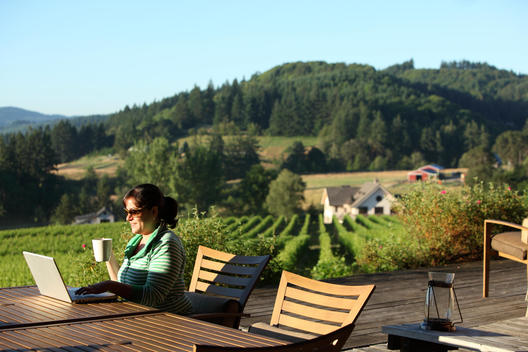A woman early in the morning working on her laptop in a vineyard in the Willamette Valley Oregon.