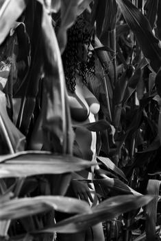 mannequin in a cornfield