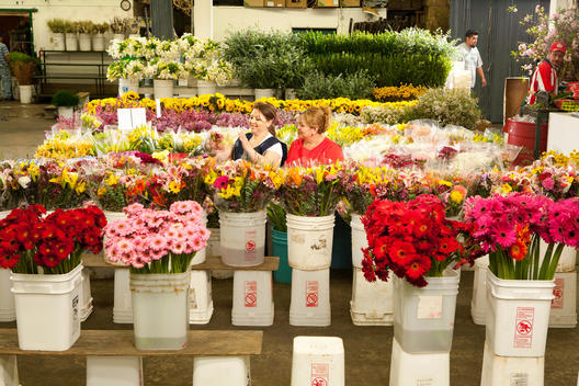 Two women stand in the middle of buckets of flowers at a flower market