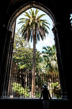 A woman looks through as archway at a palm tree in the courtyard of the Cathedral of the Holy Cross and Saint Eulalia, better known as Barcelona Cathedral in Barcelona, Spain.