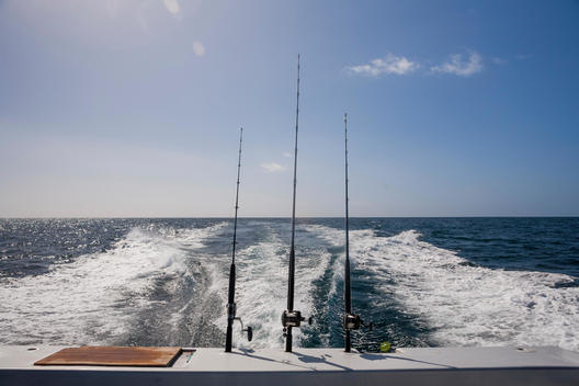 fishing rods and wake of boat
