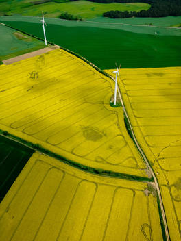 Wind mills, field of canola (Brassica rapa), aerial view, Mecklenburg, Germany