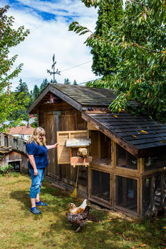 Backyard coops are growing in popularity throughout the country as people are wanting to source their food locally. Eggs come daily and kids enjoy the connection to the animals.