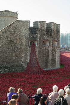 Members of the public visit the installation art piece \'Blood Swept Lands and Seas of Red\' in the moat of the Tower of London. The artwork commemorated the centenary of the outbreak of World War I and consisted of 888,246 ceramic red poppies, each intende