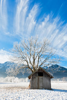 Germany, Bavaria, View of hut with tree and mountains in Bavarian foothills of Alps in frosty morning