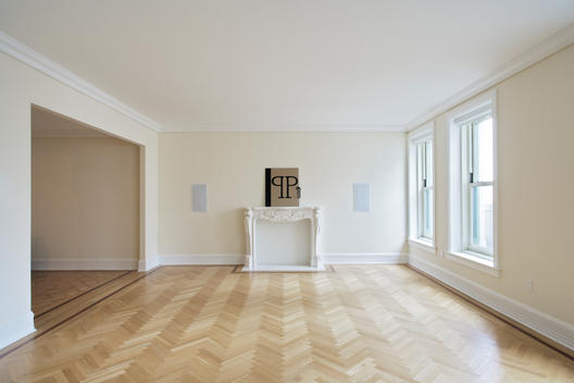 Empty Room With Parquet Floors And Marble Fireplace, Plaza Logo And Built-In Speakers