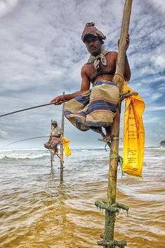 Stilt fishermen, Sri Lanka, traditional stilt fisherman at Kogalla, Sri Lanka