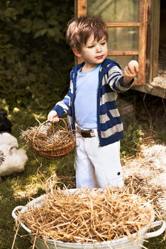 Little boy holding egg in his hands, which he just collected from the pen