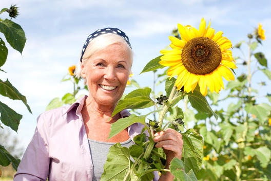 Germany, Saxony, Senior woman with sunflower, smiling