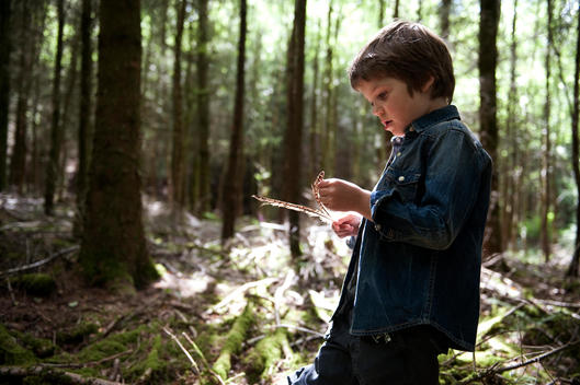 A boy is playing in the woods. He holds bird feathers in his hands.