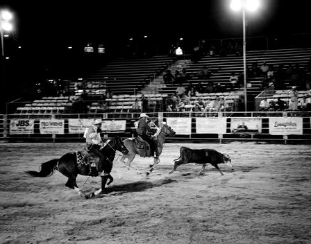 Rodeo participants lasso a calf in Las Vegas, NV.