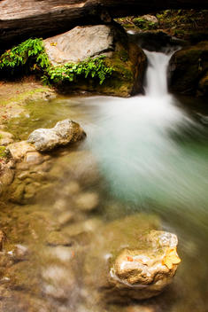 A Small Waterfall Flows Into A Pond At Limekiln State Park