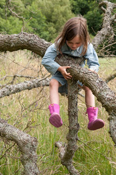 A girl is sitting on a tree. She is smiling. She wears a blue denim dress and pink Wellington boots.