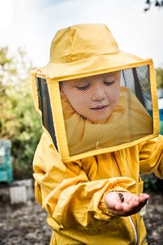 Young boy in beekeeper dress, holding drone bee in hand