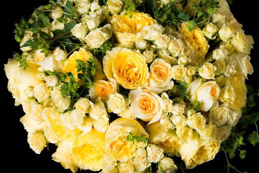 Close up of Bouquet of Yellow Roses and Persian Buttercup Flowers