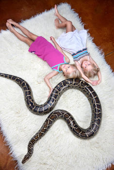 Two young sisters (4-6 year) laying next to ten foot python