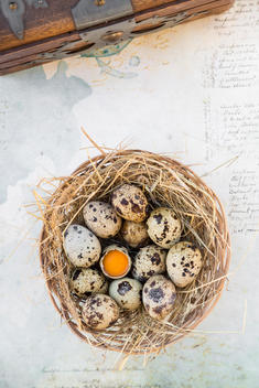 Nest of quail eggs on paper with handwriting and wooden chest, elevated view