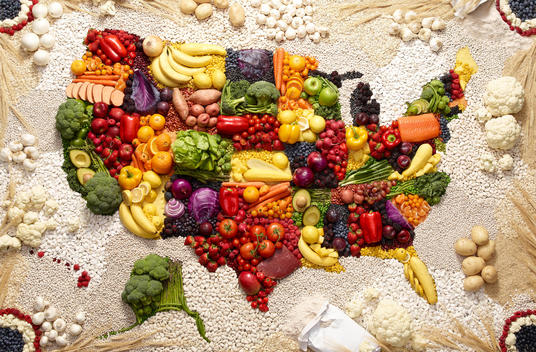 United States map made out of healthy colorful food