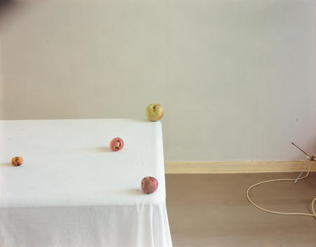 White Tablecloth, Four Rotting And Wormy Apples, Tv Antennae
