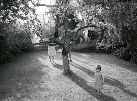 A young child of about four years old walks across the shadow of a cherry tree in sunlit suburban garden with a barbecue smoking with two adults in the background looking to the right