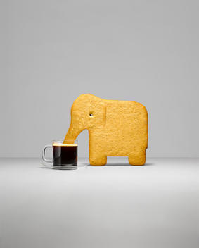 An elephant shape cookie drinking coffee.