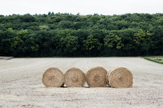 Rolled Bales Of Hay On Farmland