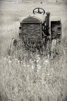vintage rusty tractor in a meadow in South Dakota