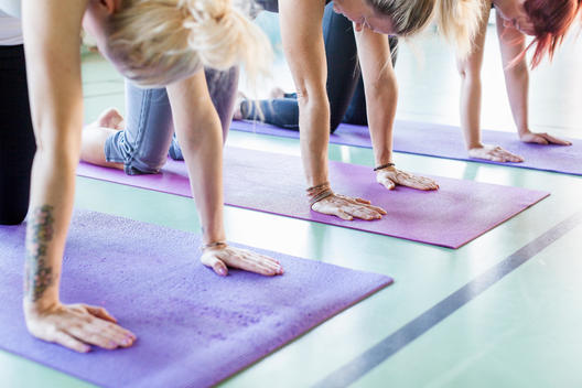Women exercising on yoga mats in health club